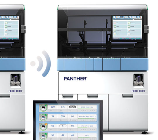 白い背景にホロジックパンサー Link の画像