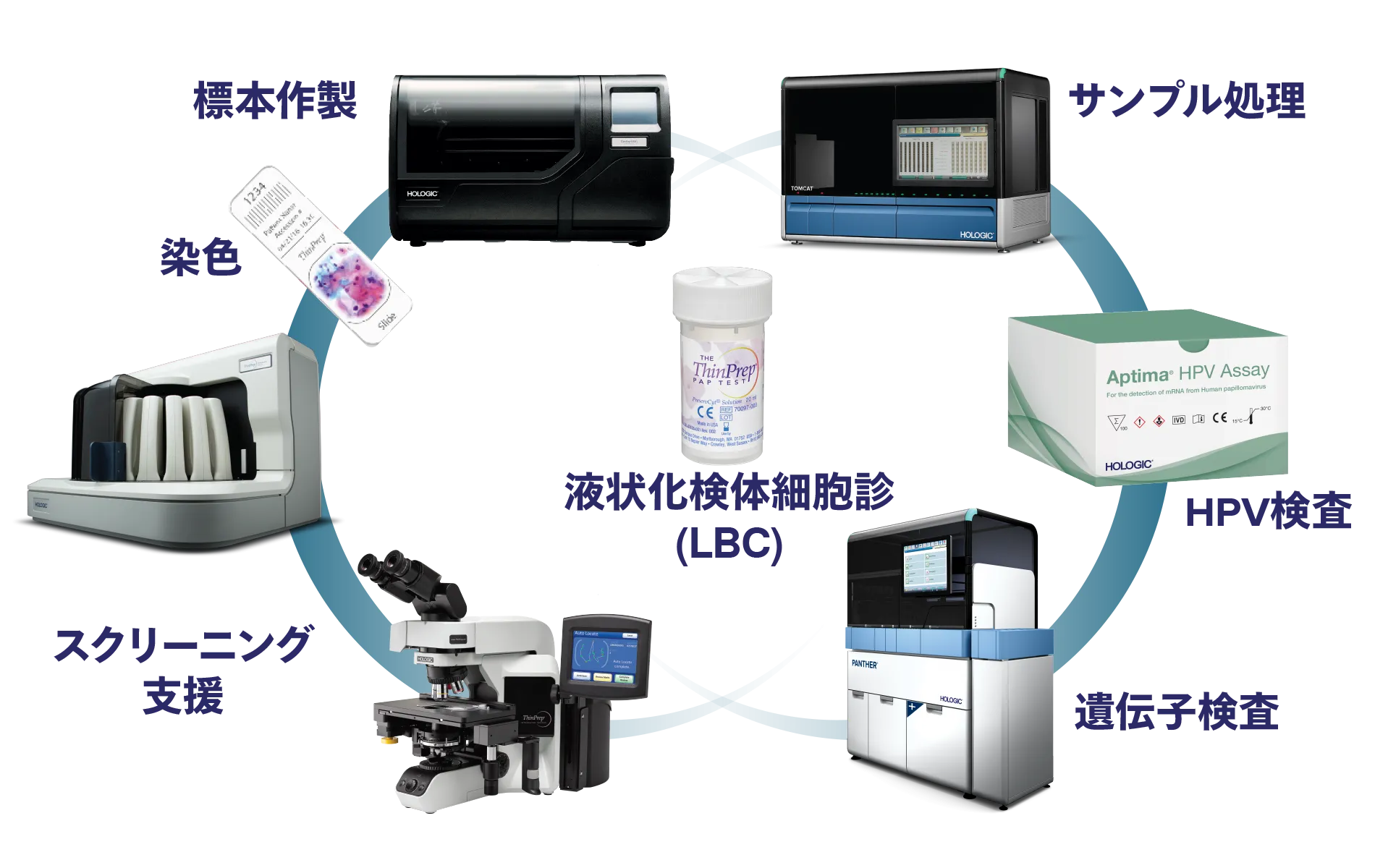 ホロジック製品間のつながりを示すグラフィック