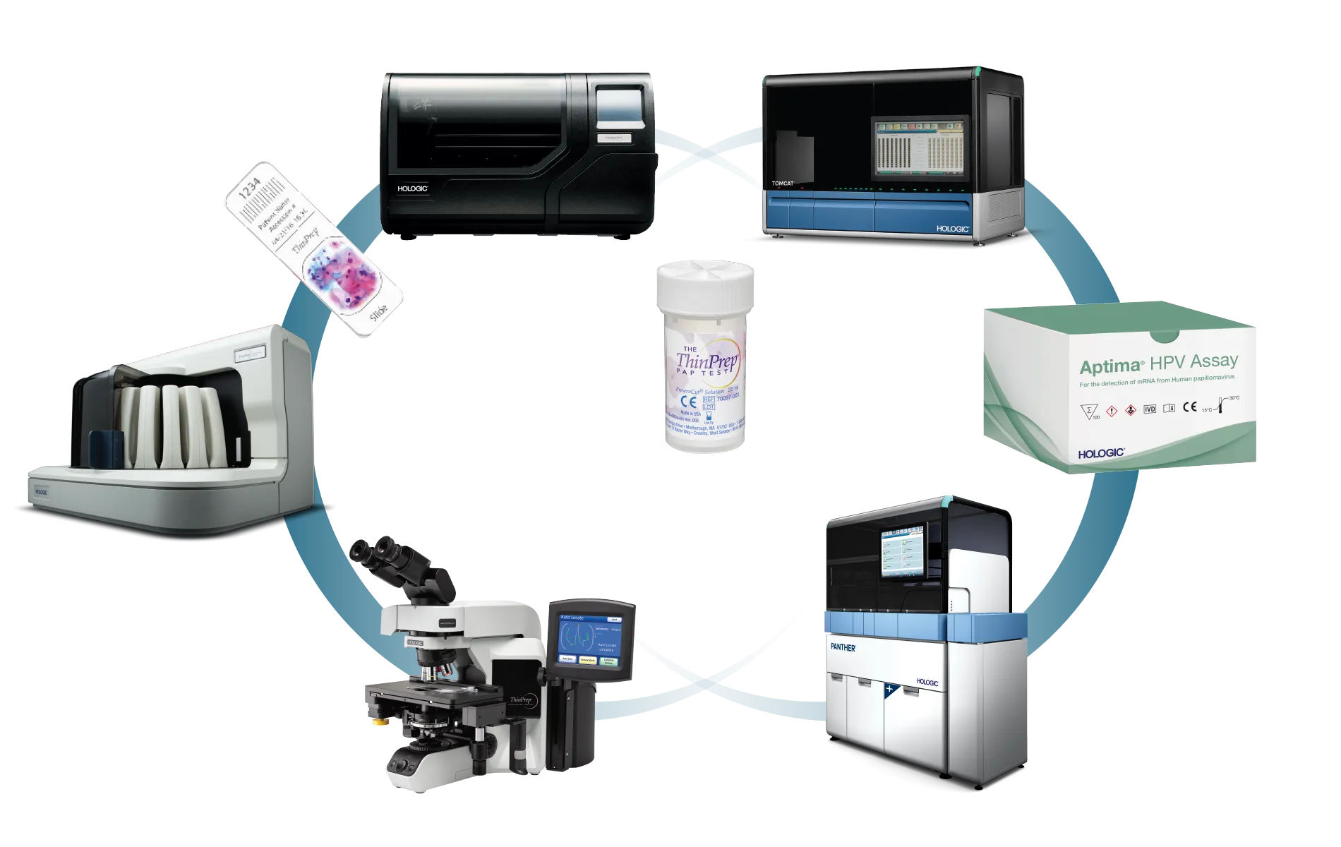 ホロジック製品間のつながりを示すグラフィック